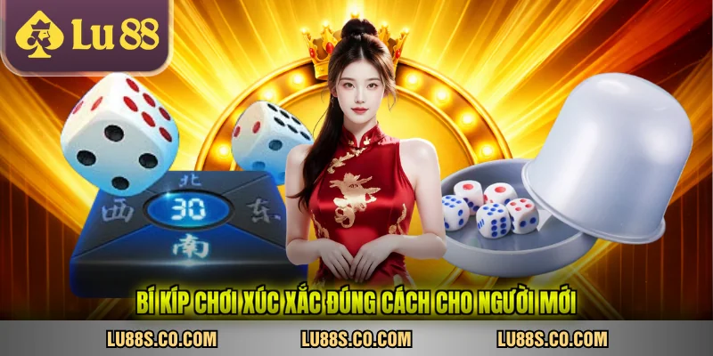 Bí kíp chơi xúc xắc đúng cách cho người mới