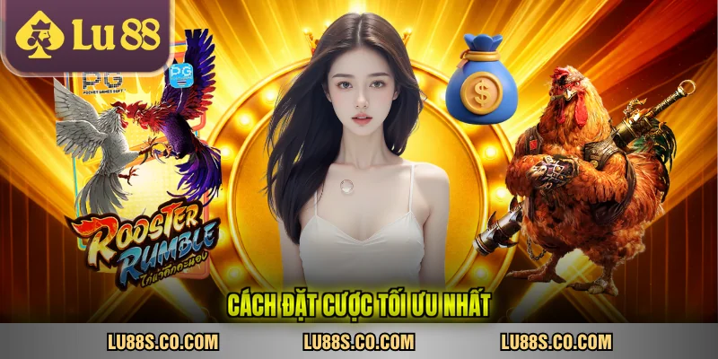 Cách đặt cược tối ưu nhất