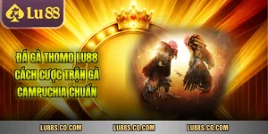 Đá Gà Thomo Lu88