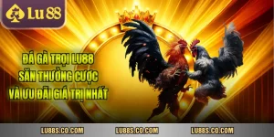 Đá Gà Trọi Lu88