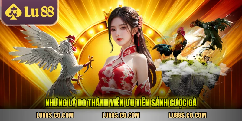 Những lý do thành viên ưu tiên sảnh cược gà