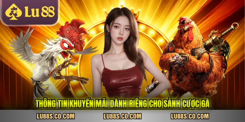 Thông tin khuyến mãi dành riêng cho sảnh cược gà