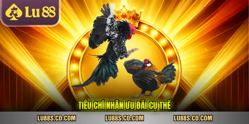 Tiêu chí nhận ưu đãi cụ thể